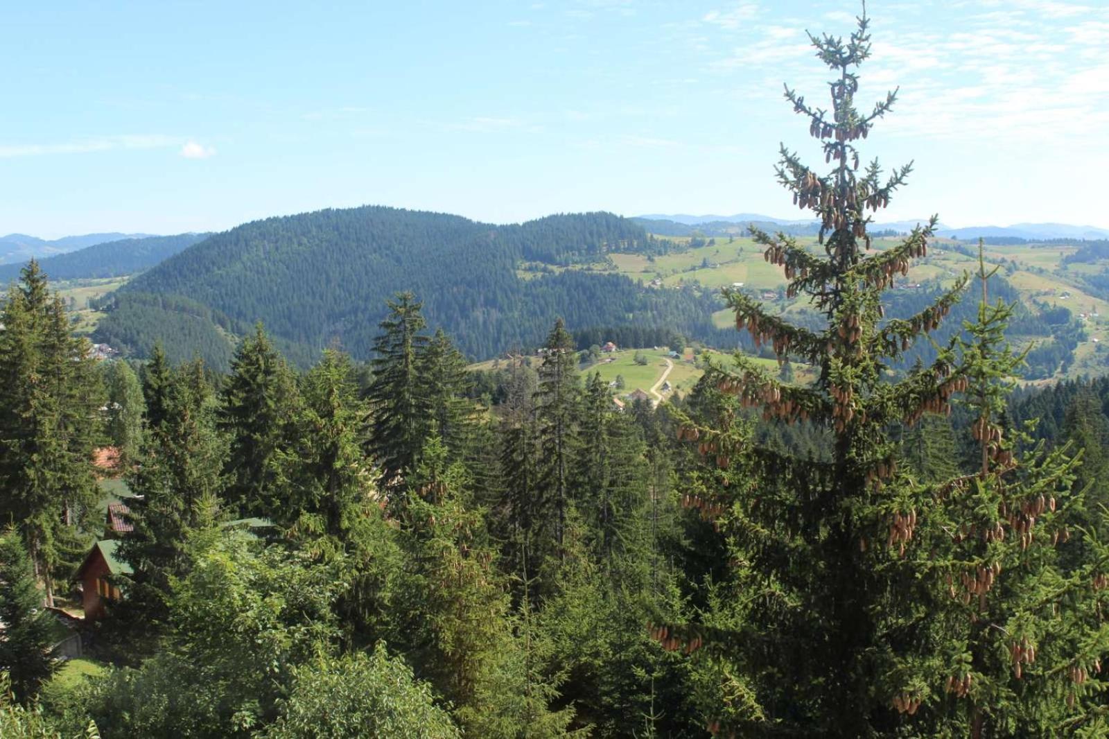 In Hotel Zlatar Ex Zlatarski Biseri Nova Varoš Exterior foto