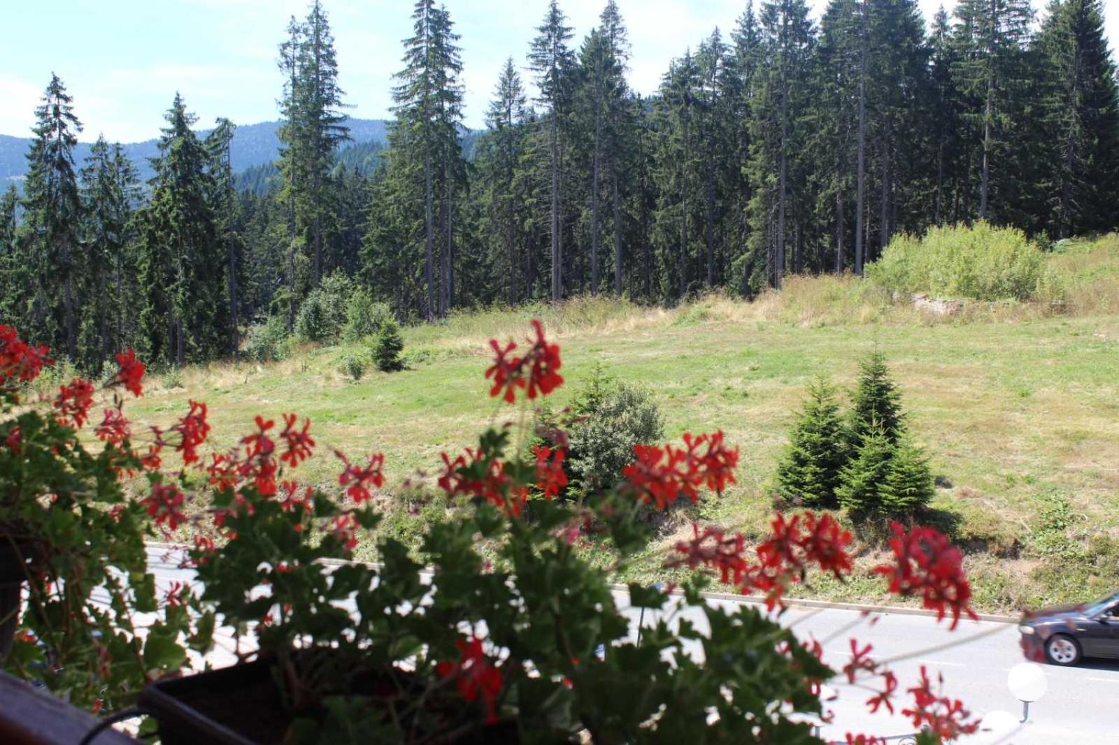 In Hotel Zlatar Ex Zlatarski Biseri Nova Varoš Exterior foto